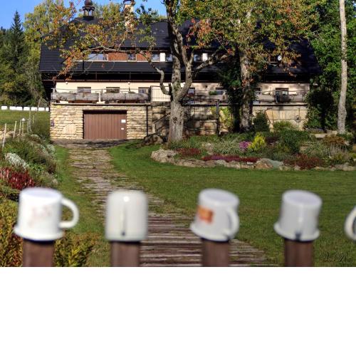 Penzion U Vlčí Stezky