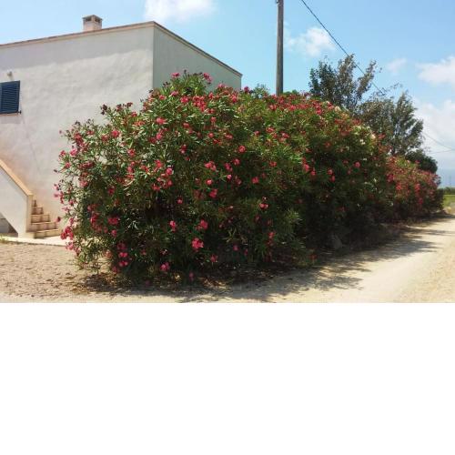 Pequeña casa rural en el centro del Delta del Ebro