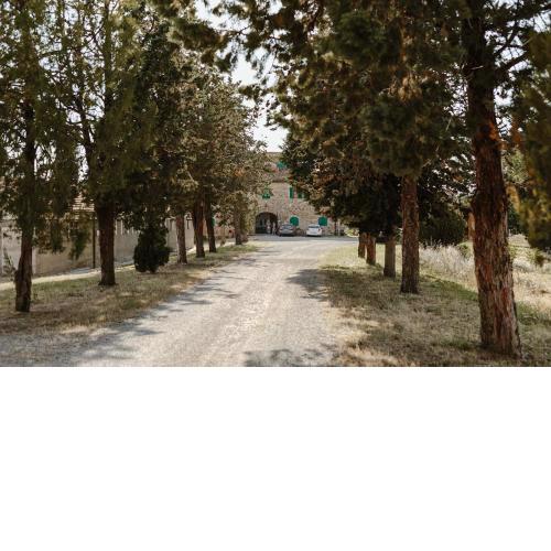 Perelli Winery