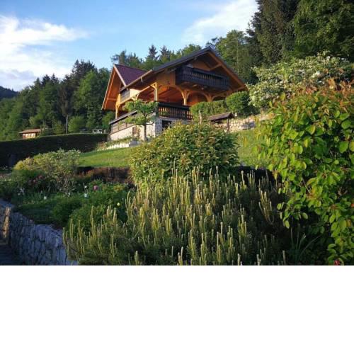 Perfect view mountain house