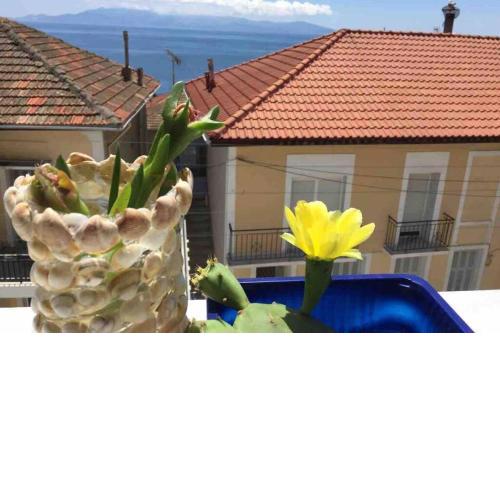 # Perfection Sea View Apartments