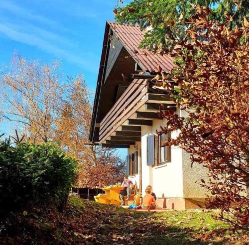 Pet & Family Friendly House Viktorija - house near Golica with Triglav view