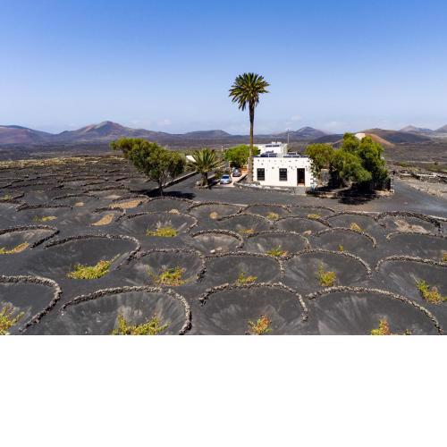 Petit La Geria Lanzarote
