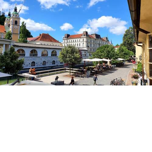 Petkovšek - NEW in July 2020