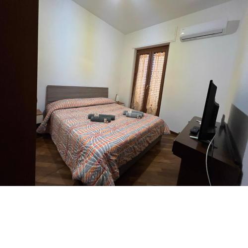 Petronia Home