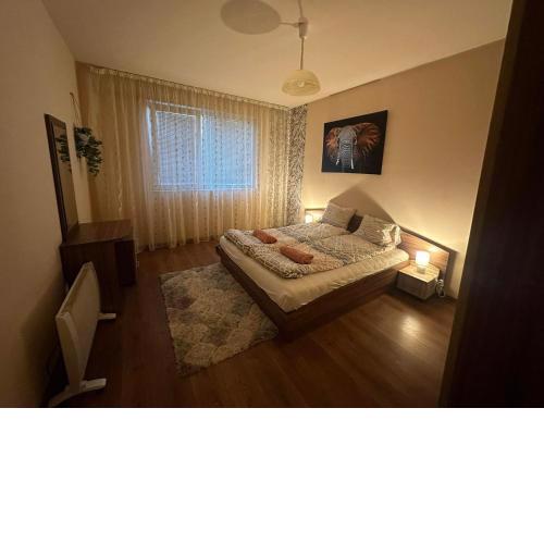 Petya's cozy relaxing aparment.