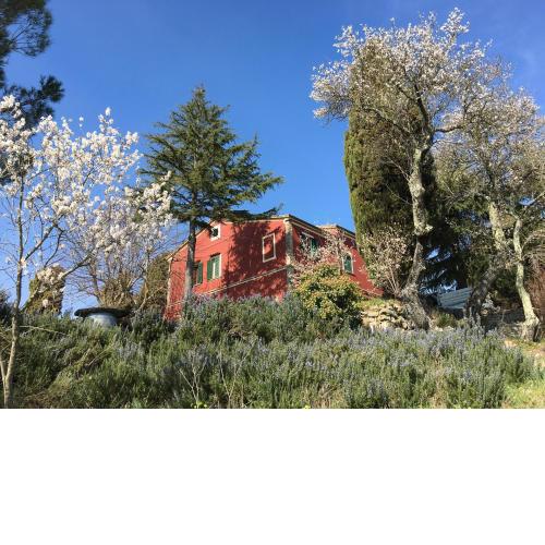 Piccola casa toscana con giardino con vista mozzafiato
