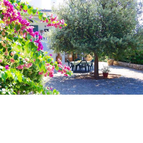 Piccola Oasi San Nicola