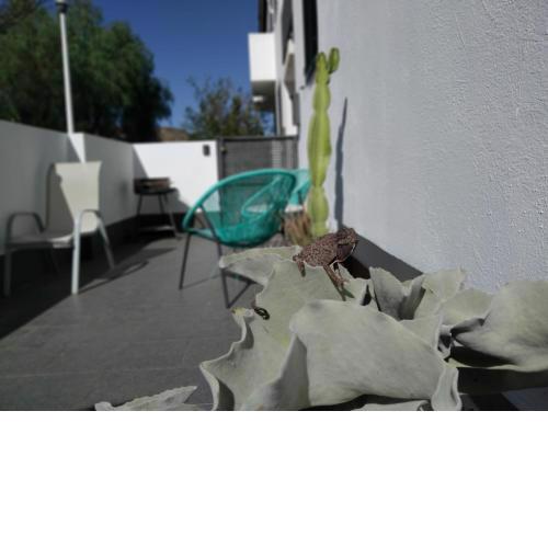 PiedraNegra, apartamento completo con patio, terraza y BBQ