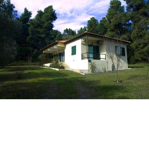 Pine Tree Cottage