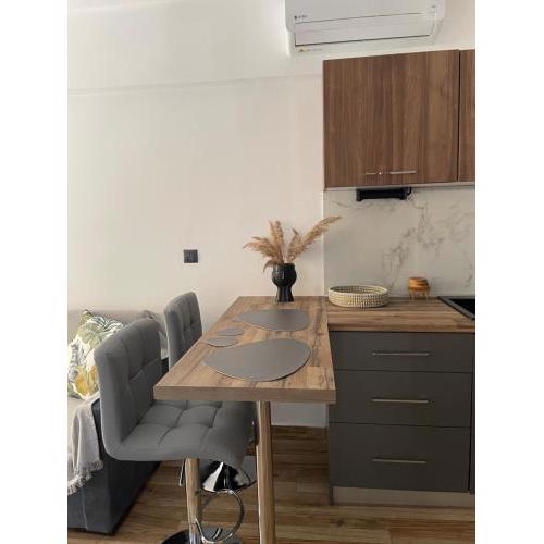 Pinelopi family Apartment 100m from beach