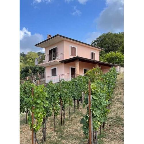 Pink House