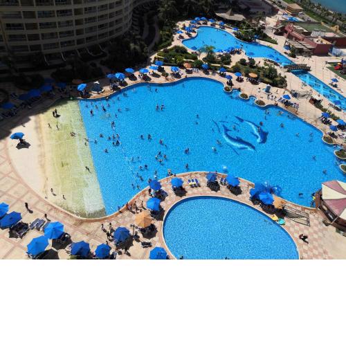 PIRAMEDS PORTO FOR FAMILY ONLy