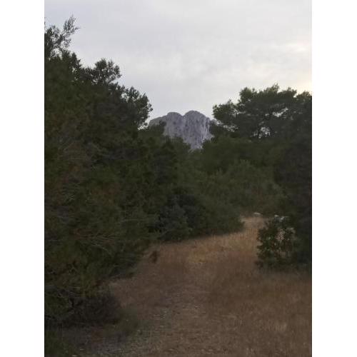 Pirats Des Vedra