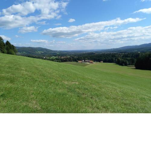 Pircherhof