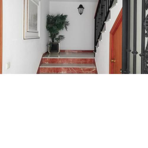Piso Palomino