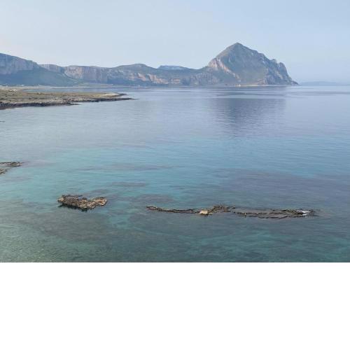 Pittalumari Makari
