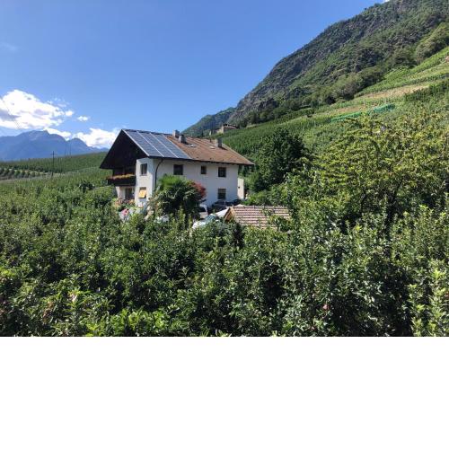Pixnerhof - Urlaub am Biohof