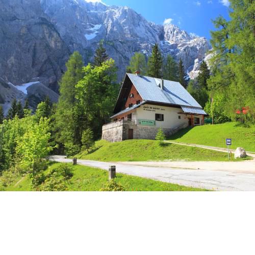PLANINSKA KOČA NA GOZDU