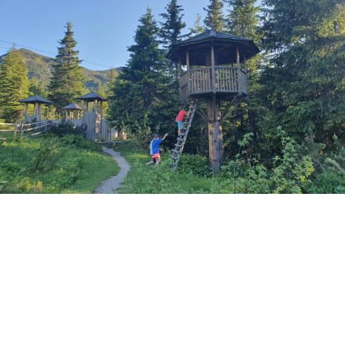 Planneralm 32 Ferienwohnung