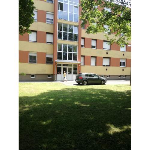 Platán apartman