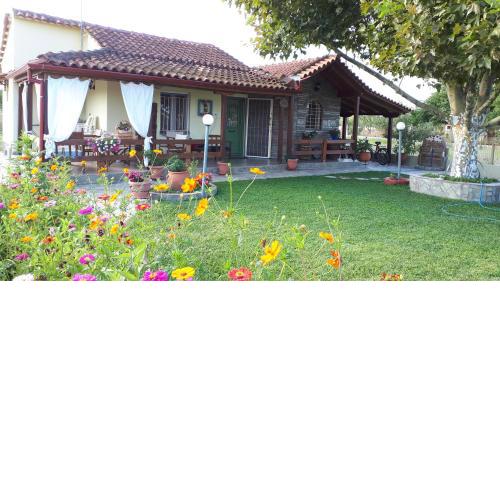 Platanos House