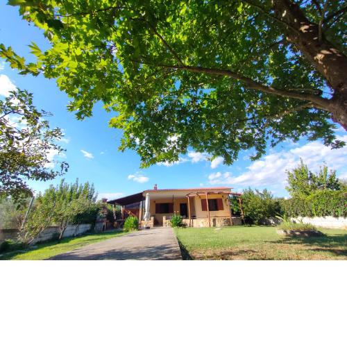 Platanus Retreat