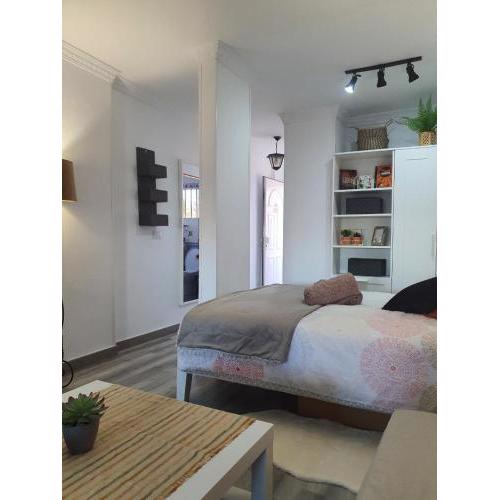 Playa del Ingles Estudio LOS MOLINOS 205