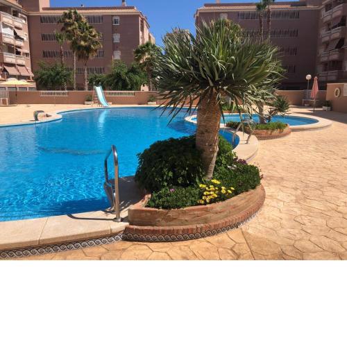 Playa Lisa Studio
