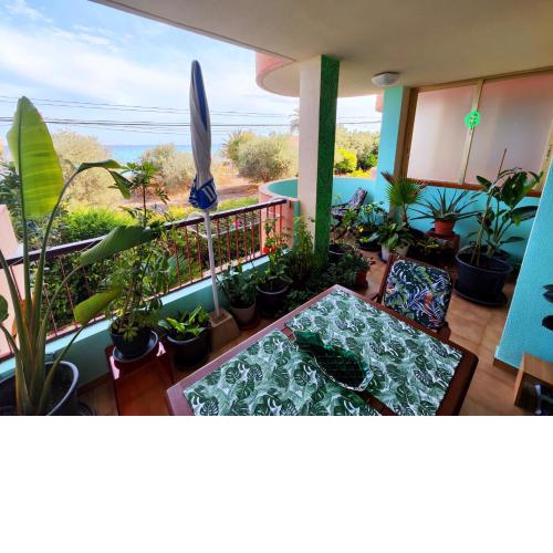 Playa Paraíso Suite