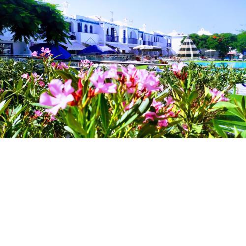 PLAYMAR TROPICAL
