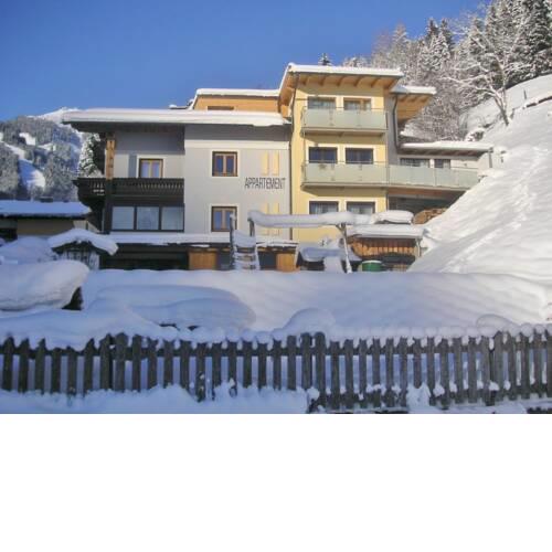 Pleasant Apartment in Schmitten with Ski Storage