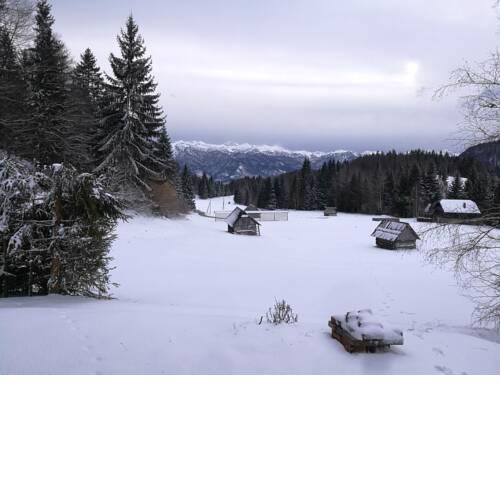 Počitniška hiša - Koprivnik