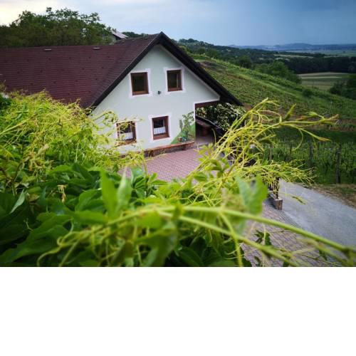 Počitniška hiša med vinogradi