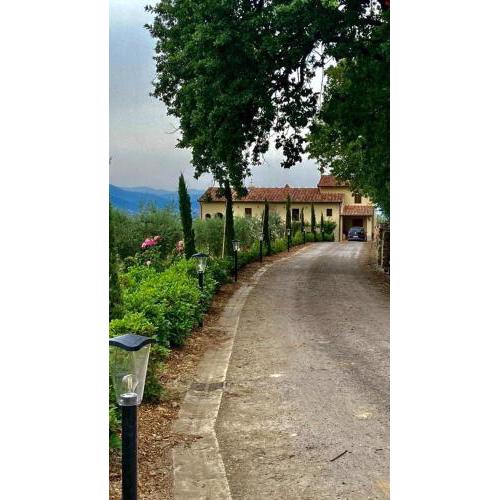 Podere agli Arrighi