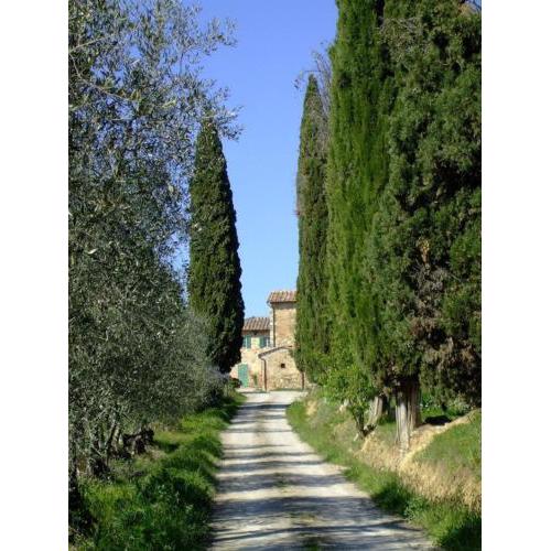 Podere Calcinaia