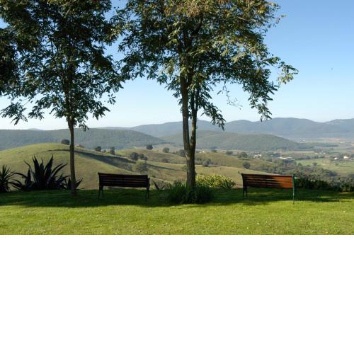 Podere Cavone - Casale degli Ulivi