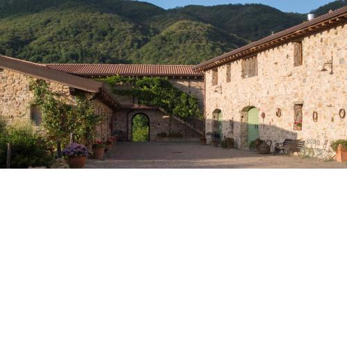 Podere Conti