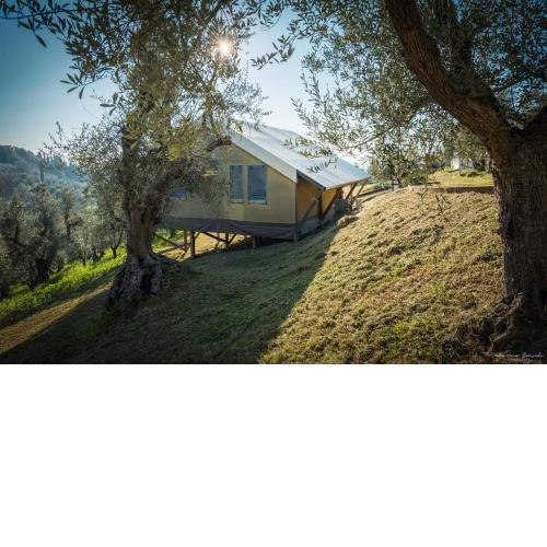 Podere Cortesi