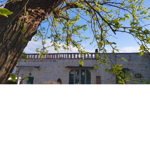 Podere del Gelso Bianco, Vacation Rental Ostuni