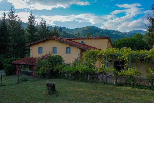 Podere Il Pino