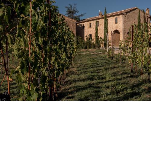 Podere Le Coppiole