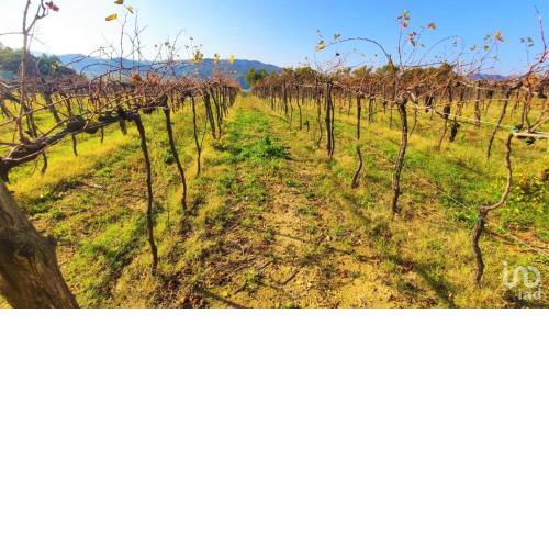Podere Mona