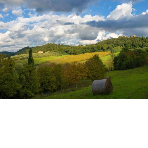 Podere Poggiarello