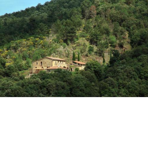 Podere Ripi