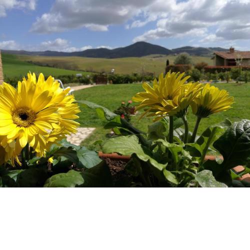 Podere San Luigi - Pet Friendly
