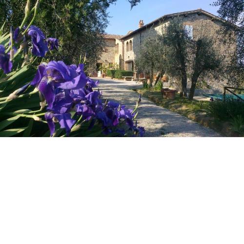 Podere San Quirico