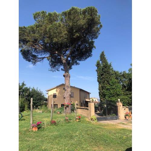 Podere Telesforo
