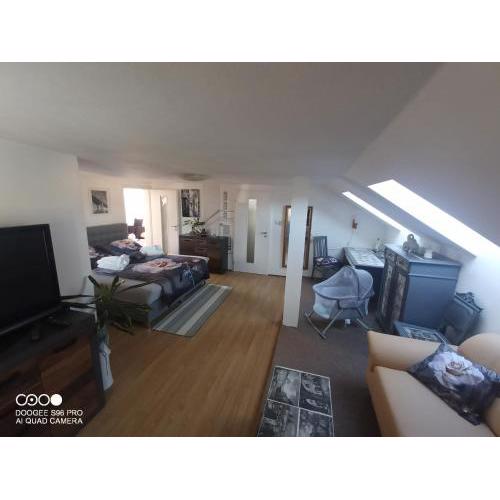 Podkrovní apartman Tereza