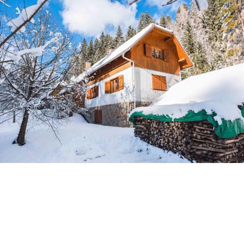 POHORJE HOUSE 2 APT3